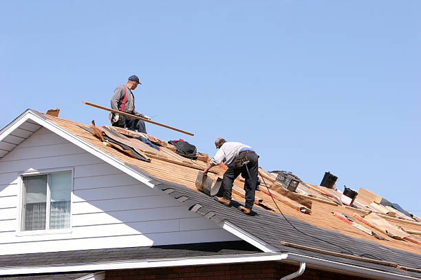 Best Skylight Installation and Repair  in Upland, PA